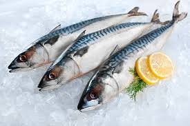 Chilled Fish